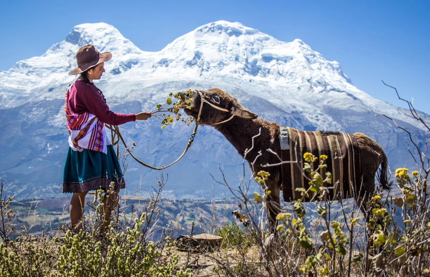 Chile